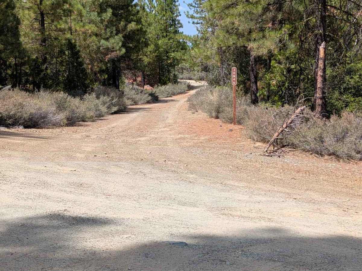 Ditch Gulch Road - FS 30N46 trail photo