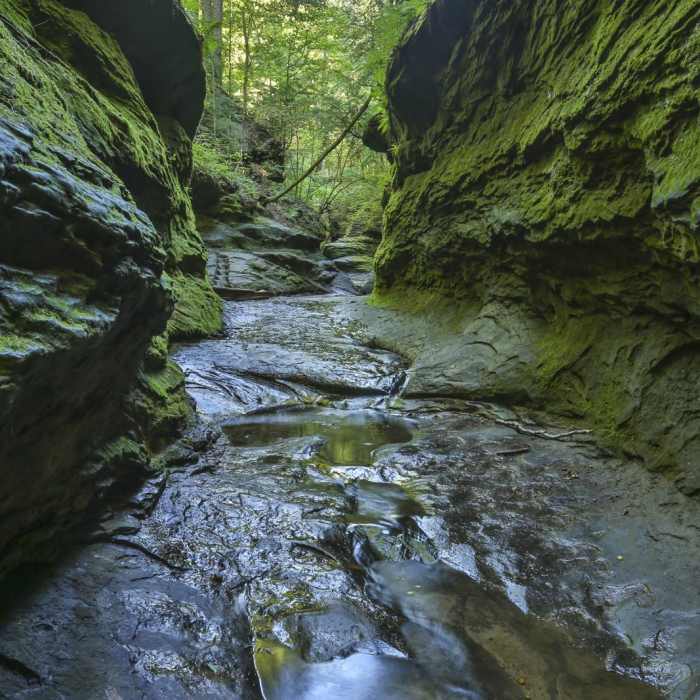 Near Rocky Hollow Falls Canyon Nature Preserve: Trail 3 Near Rocky Hollow Falls Canyon Nature Preserve: Trail 3