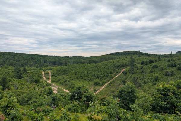 Lindquist Hill Military Trail