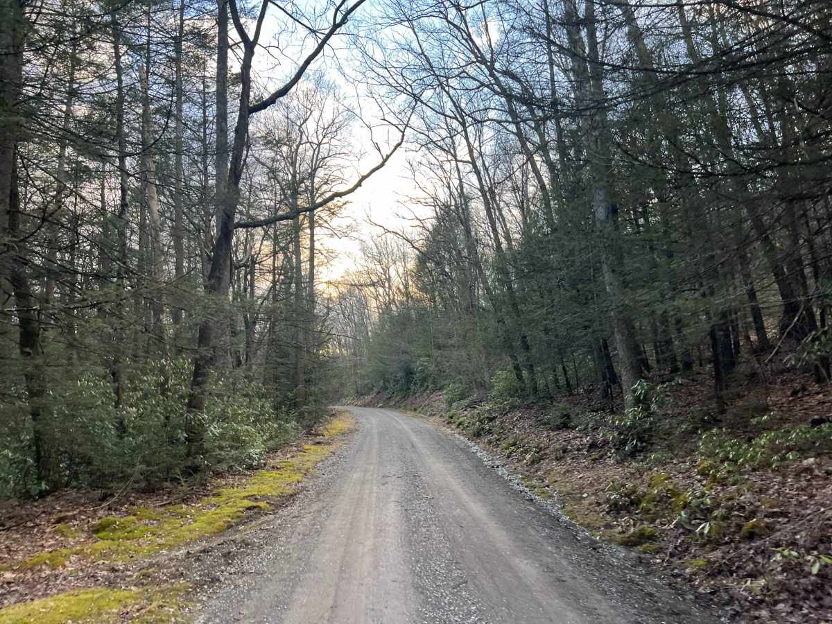 Bear Run Road photo 3