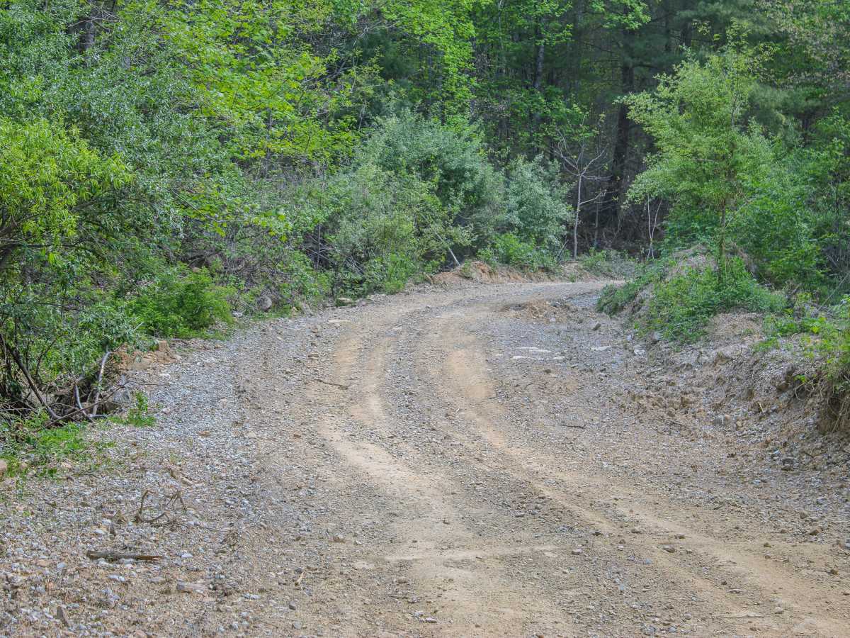 Coal Haul Road trail photo