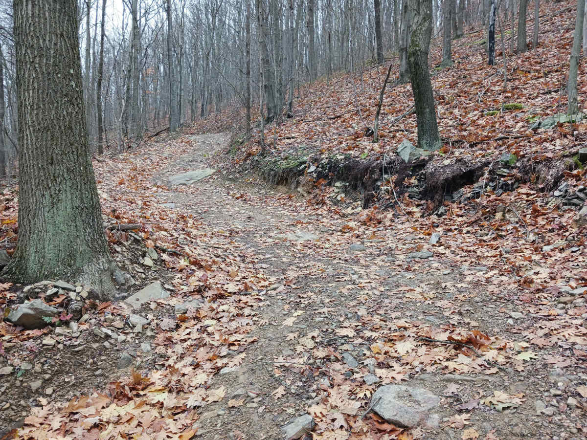 Outer Loop West - Rock Run Recreation Area photo 6