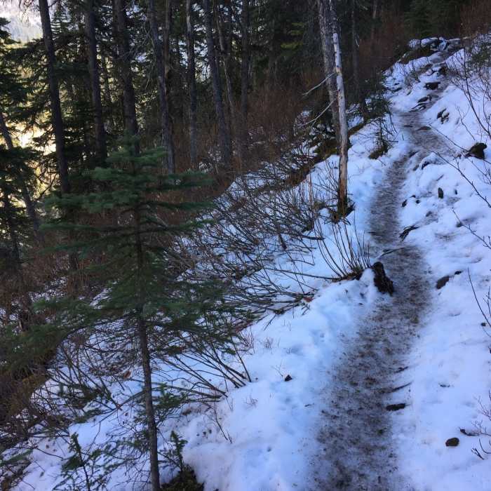 Near Emerald Basin Trail