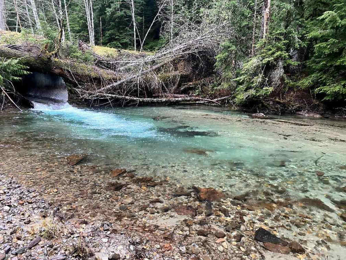 Yellow Jacket Creek photo 5