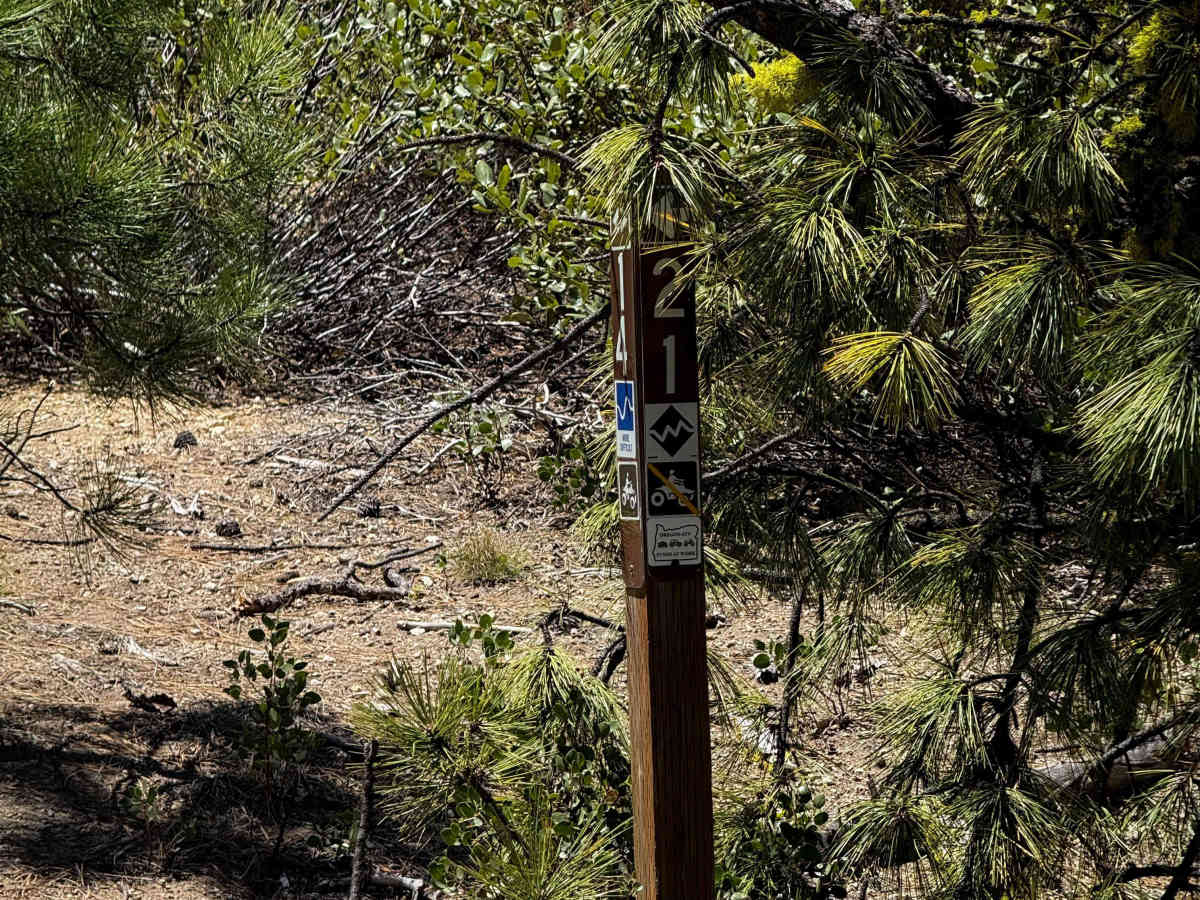 Trail 21  photo 3