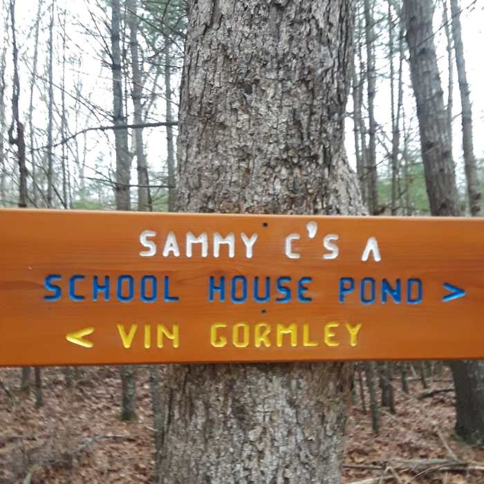 Making a decision. Near School House Pond