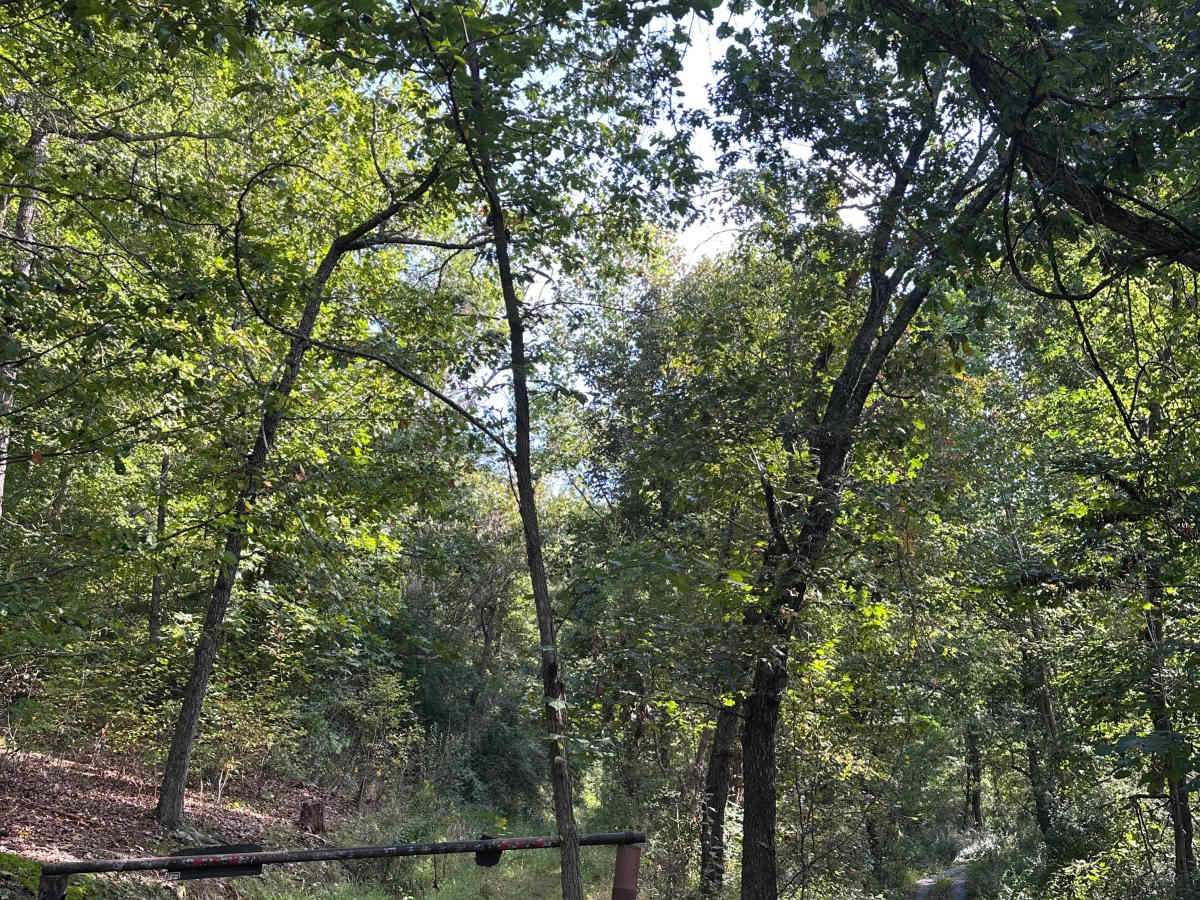 McClintic Bridge trail photo