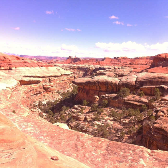 Near Lost Canyon Trail