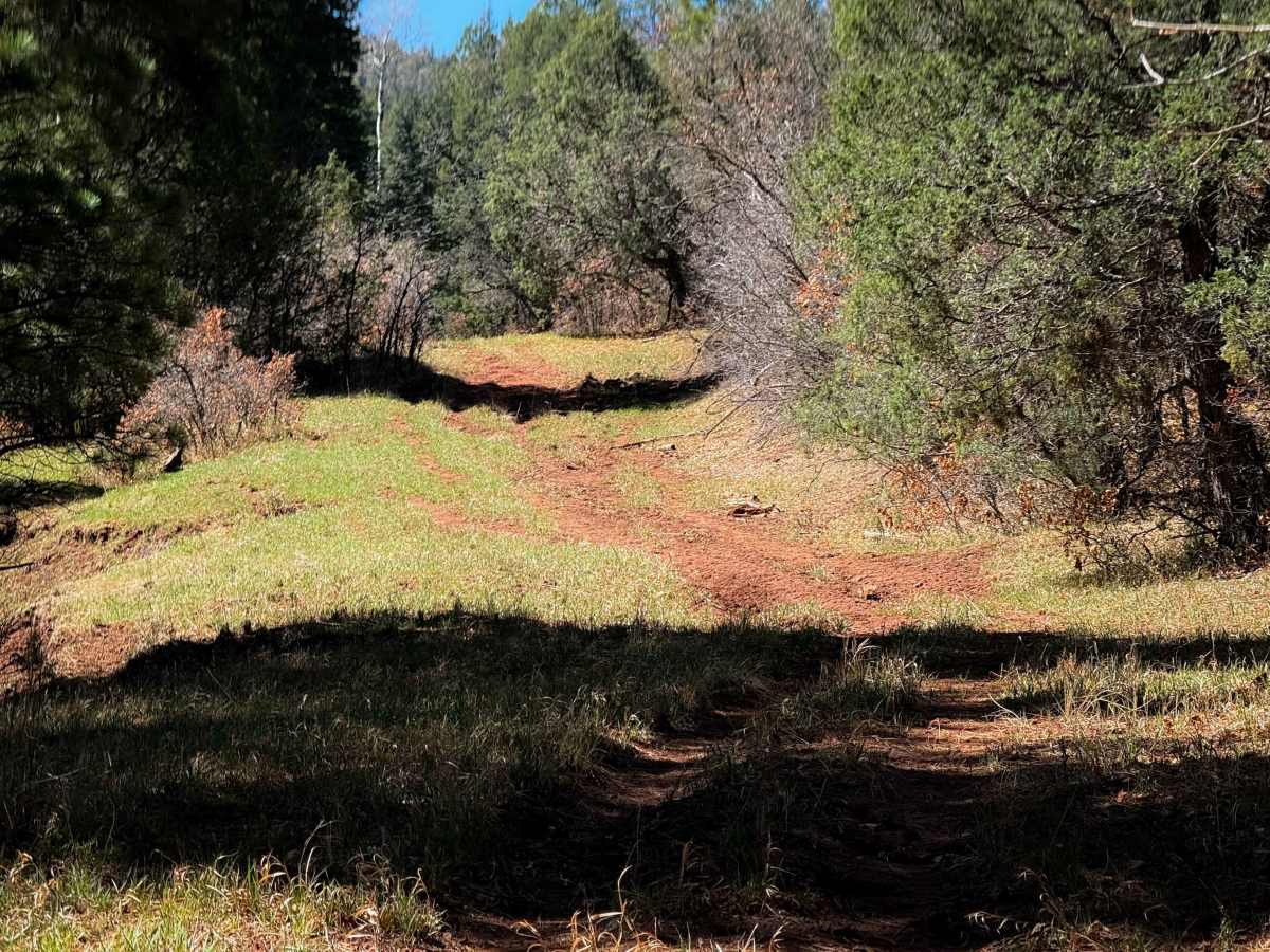 Corral photo 5