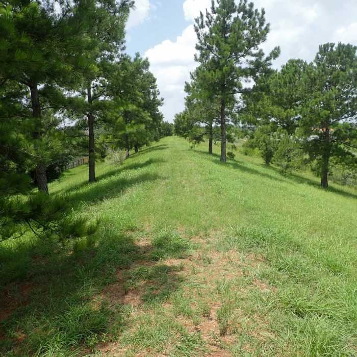 Near Katy Boardwalk East Loop