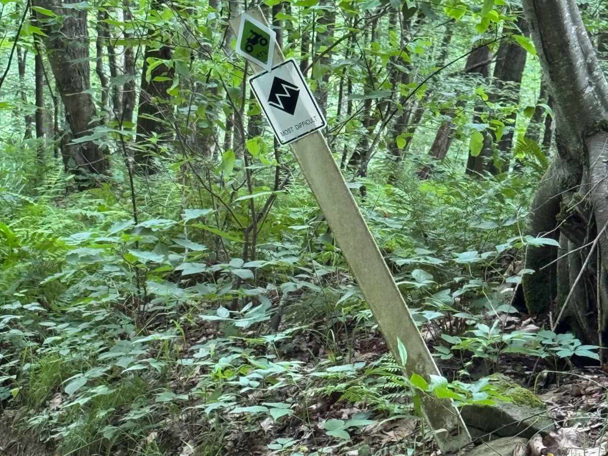 Trail 26 photo 2
