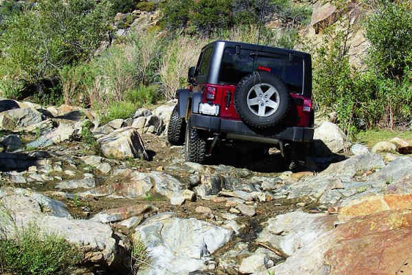 Moss Wash