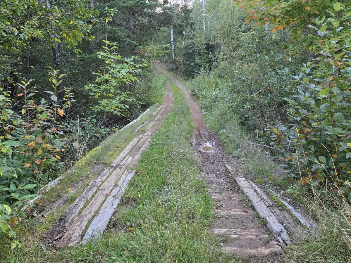 Flint Hill Road Hill Climb photo 3