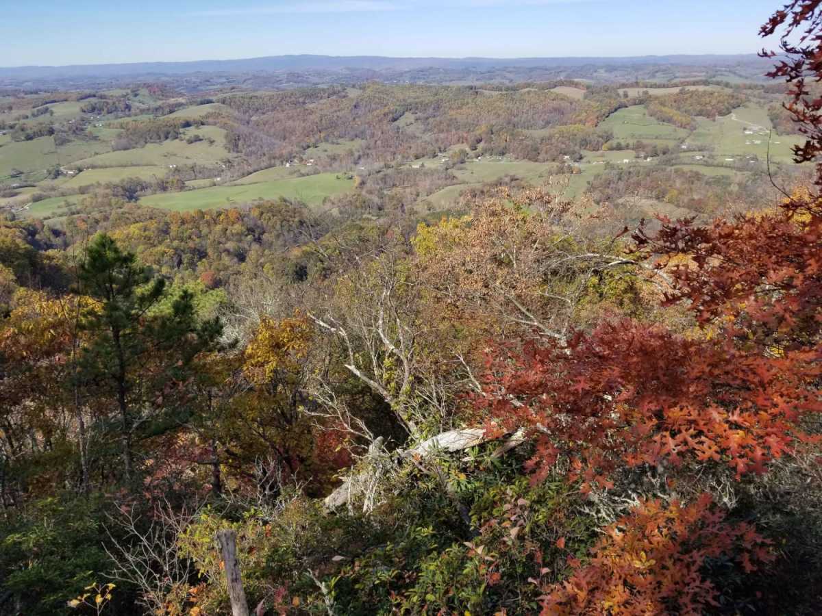 Clinch Mountain Fire Tower photo 4