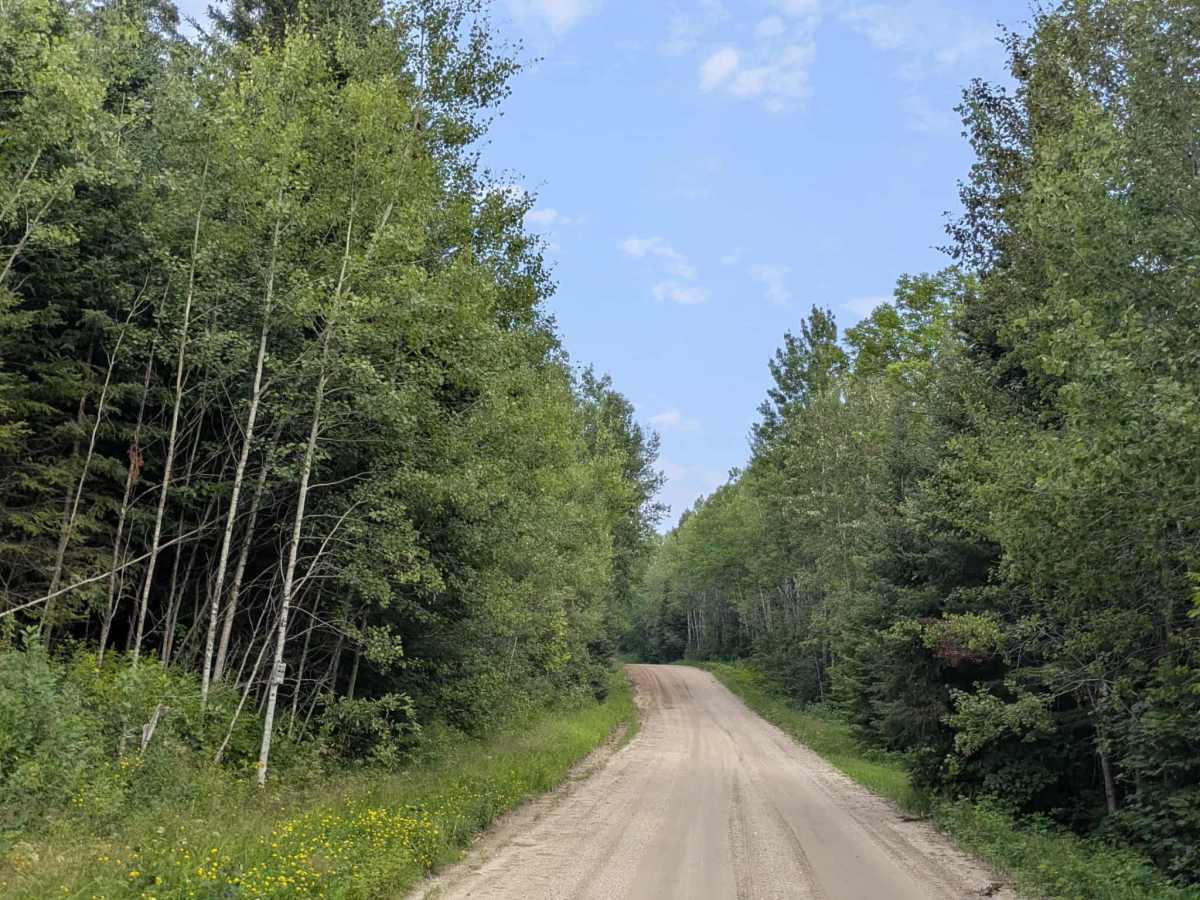 Sheep Ranch Road photo 6