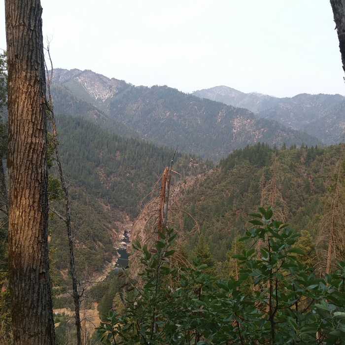 Near Butler Mountain Trail