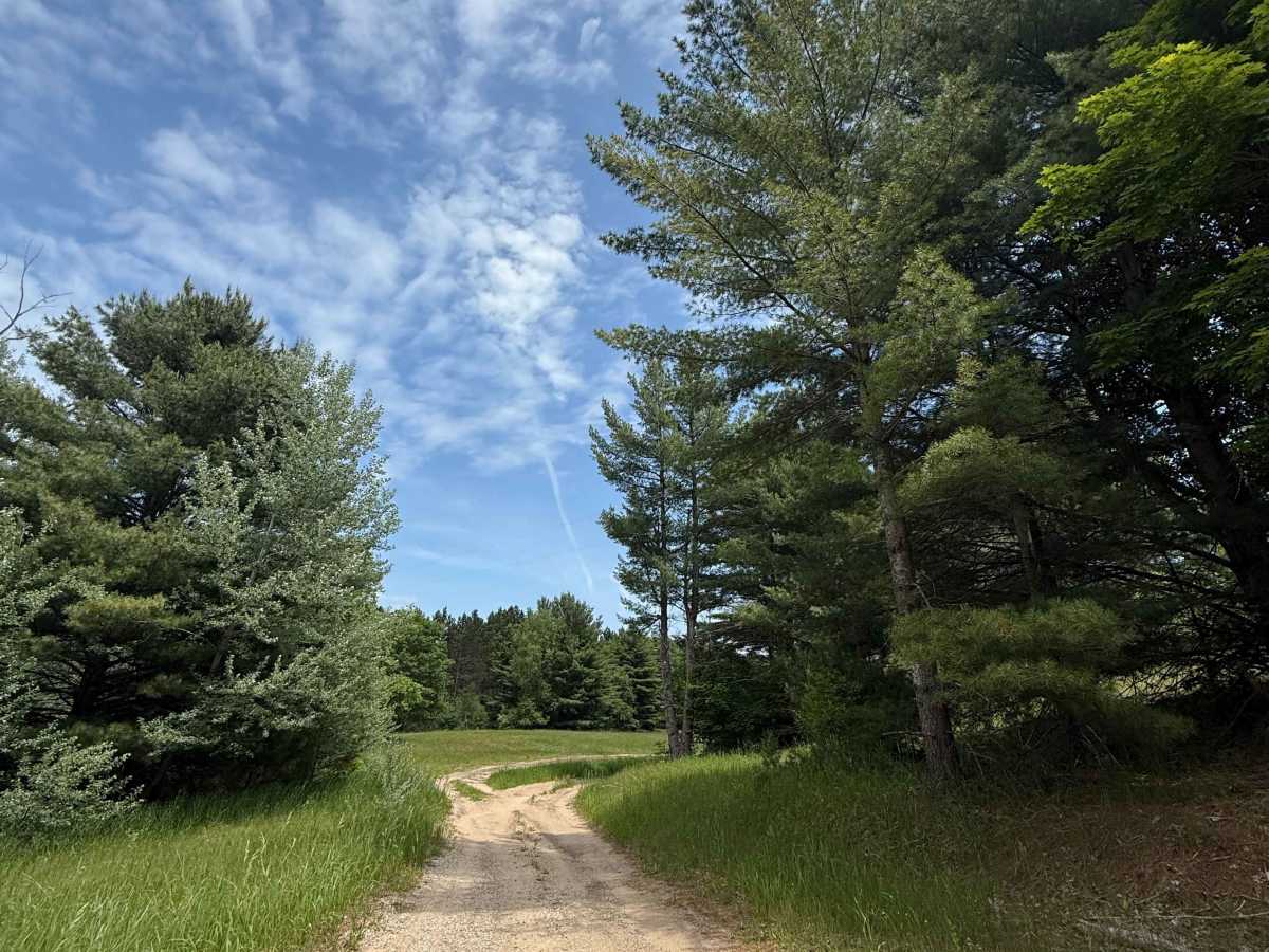 Vinton Trail West photo 3