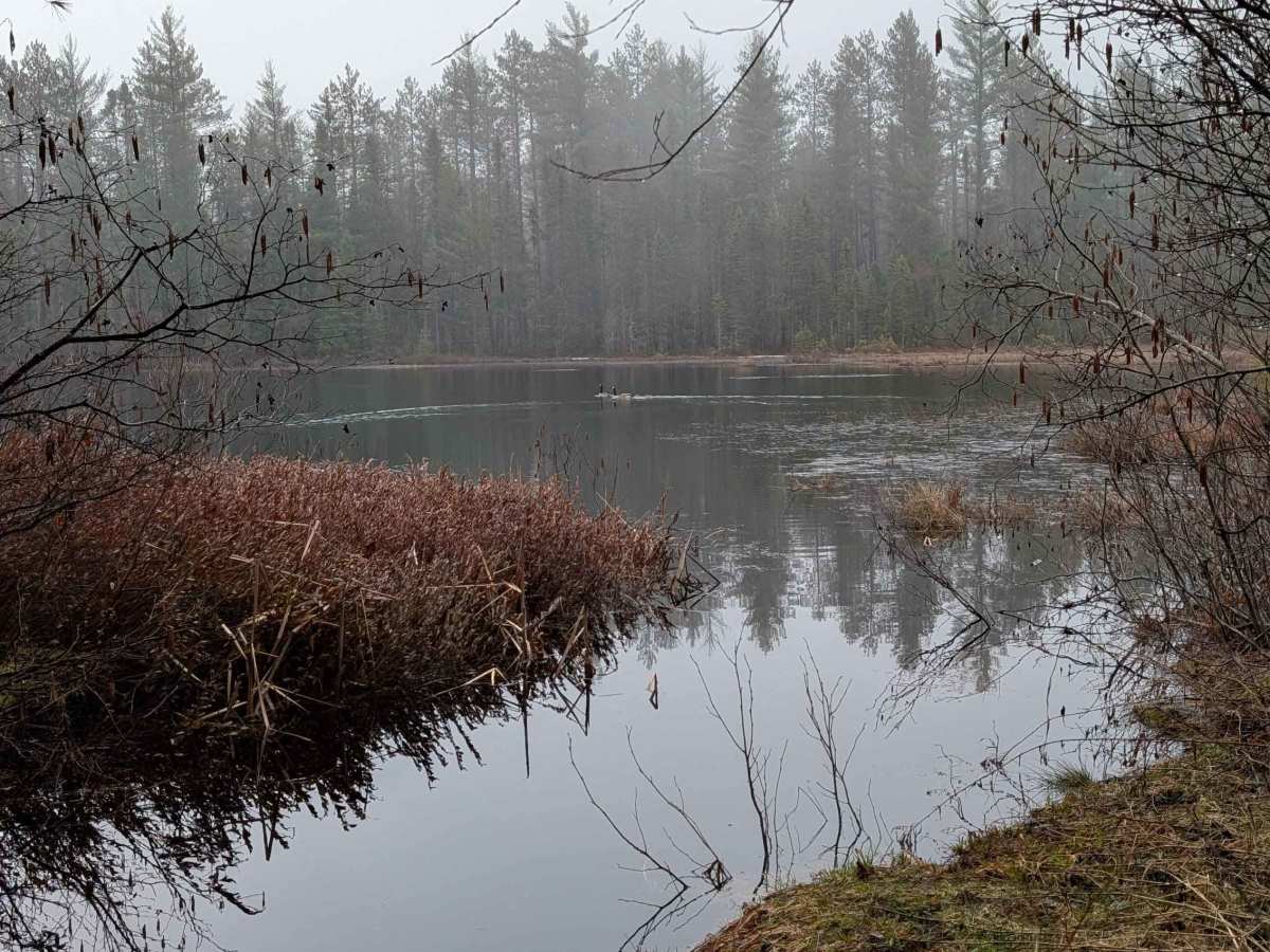Cranberry Lake Rd photo 5