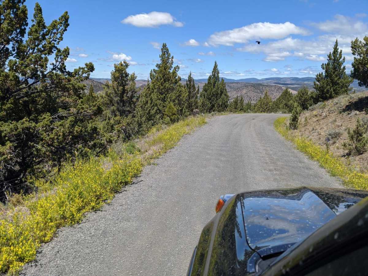 Wild Cattle Trail photo 4