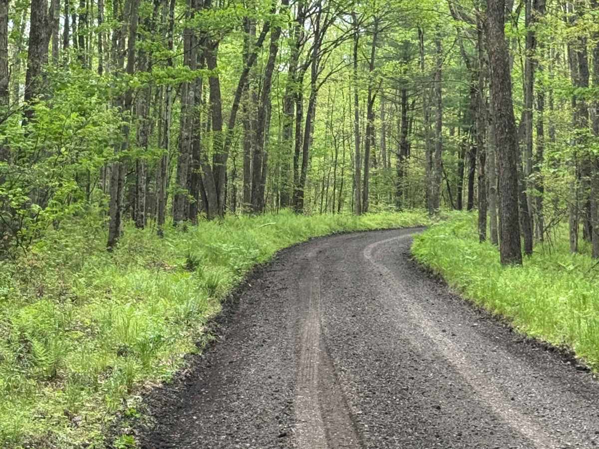 Boone Road photo 6