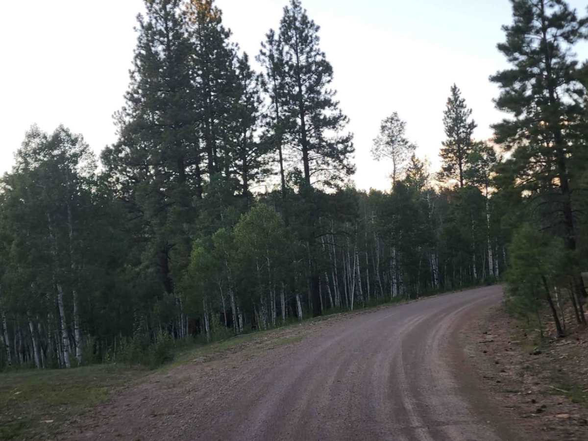 Boggy Draw Road | Off-Road Trail Maps, Difficulty, Trail Status | onX ...