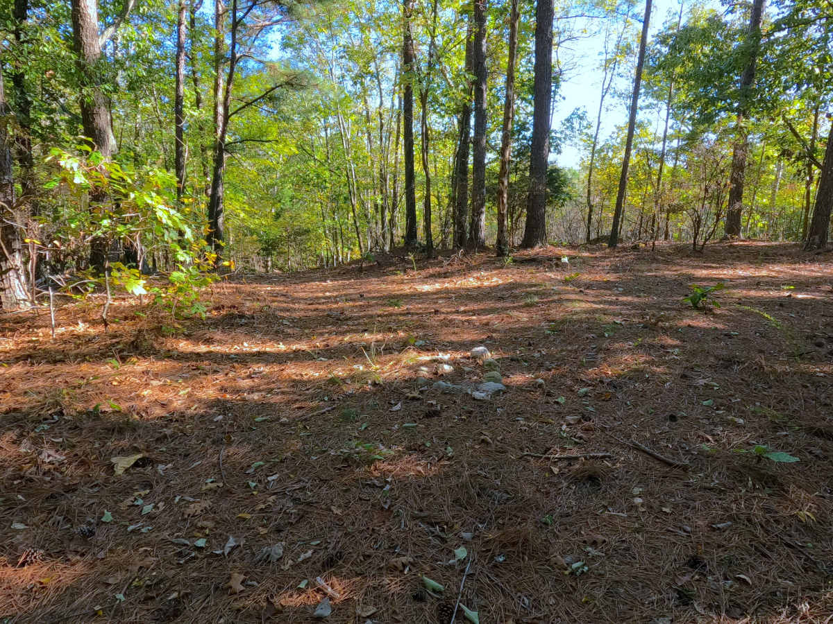 South Sugar Bay - FS 412 photo 6