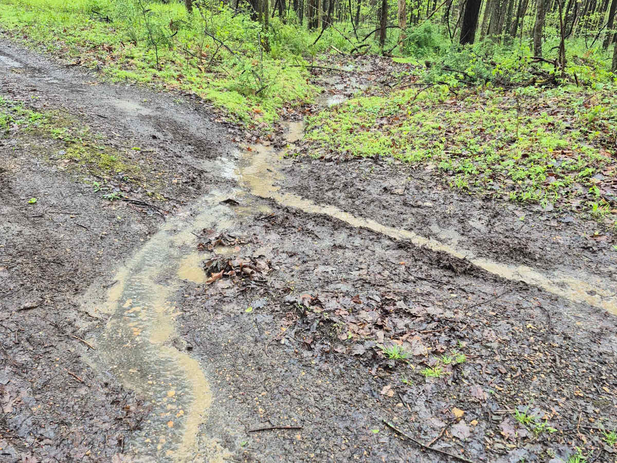 Rock Spring Trail photo 3