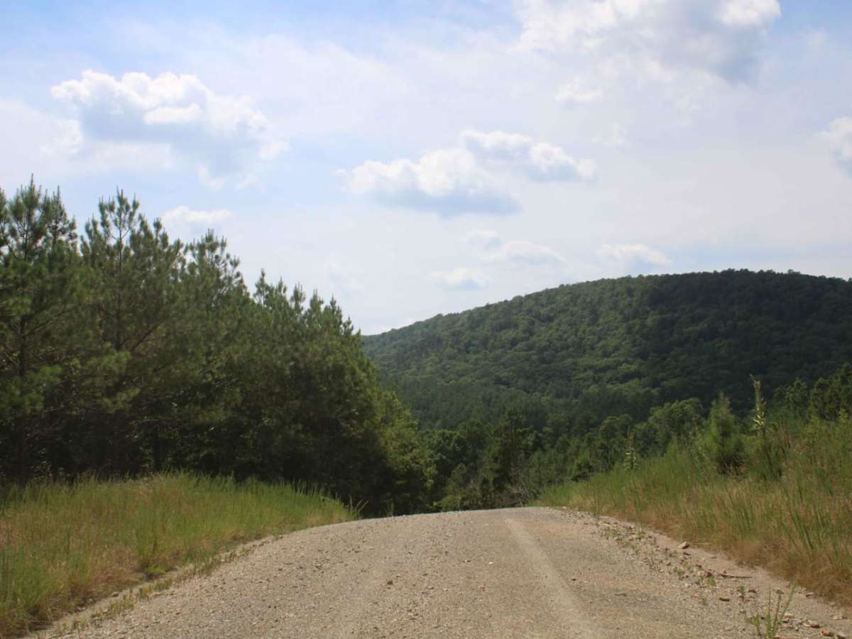 Old North Fork RD trail photo