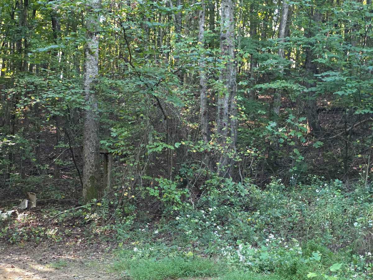 Sink Hole Loop photo 6