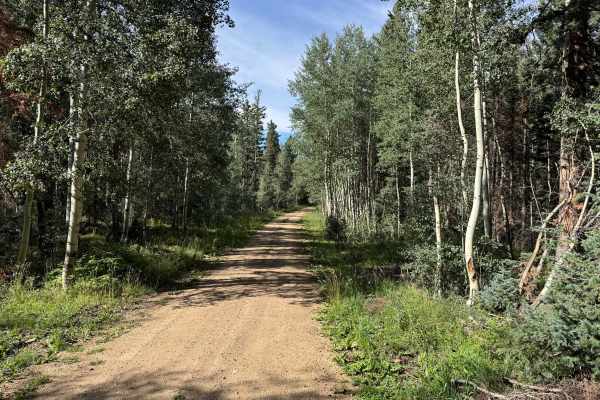 Pipe Creek Road