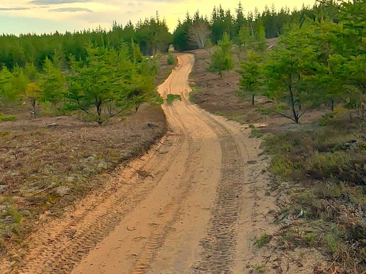 W Wilderness Road trail photo