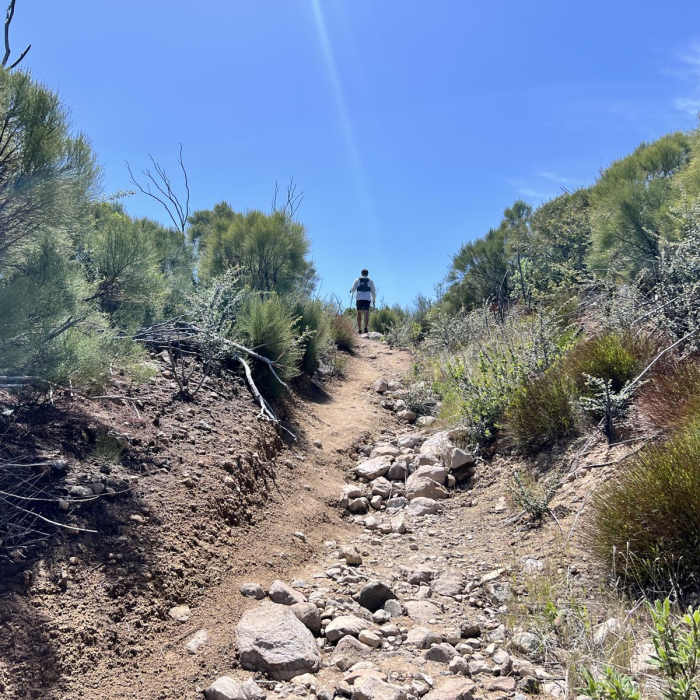 Near Mishe Mokwa to Ray Miller