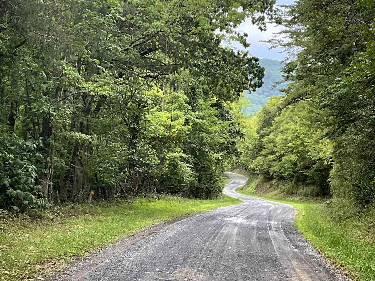 Hayslette Road trail photo