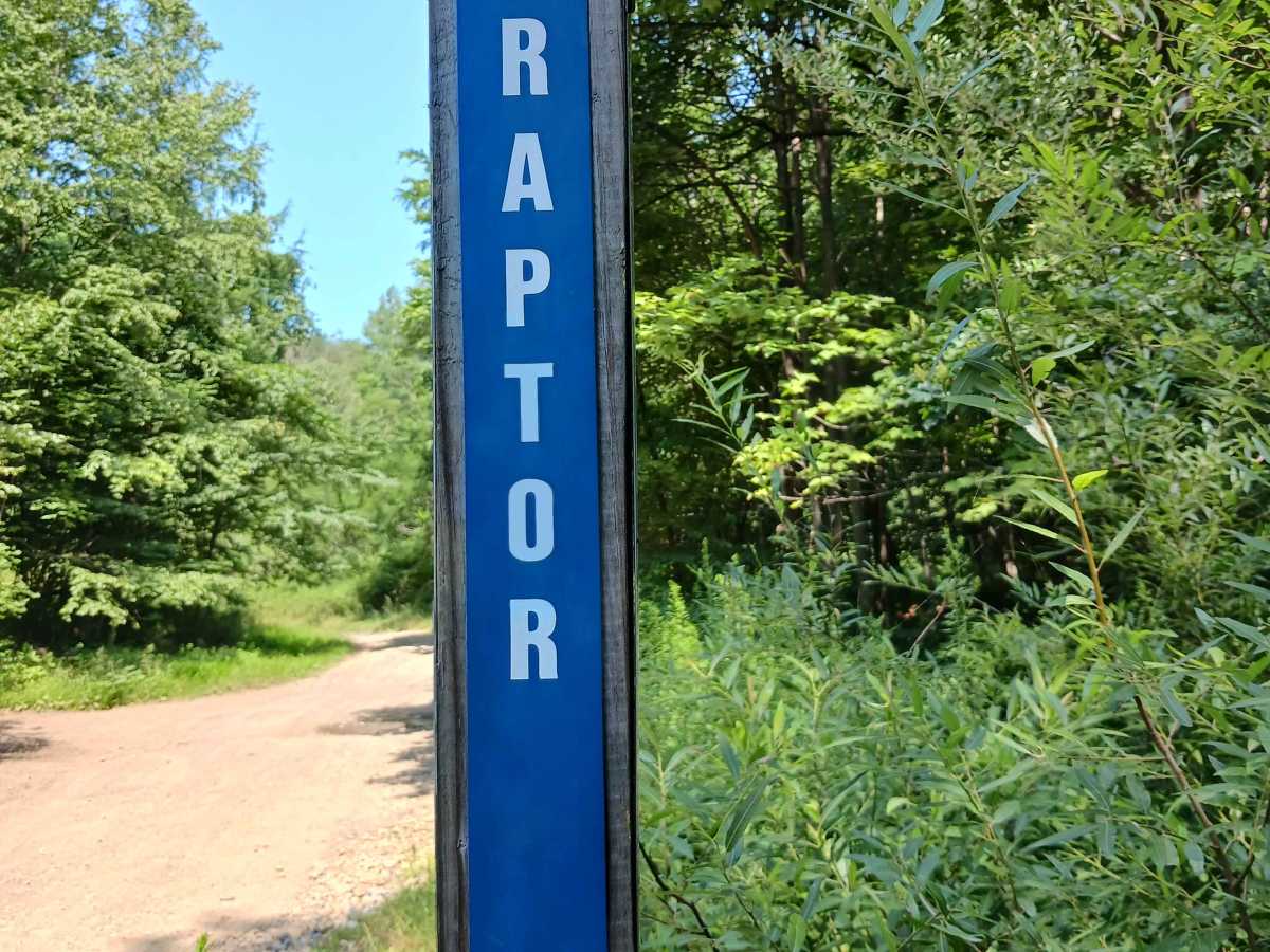 Raptor Path Trail - Rock Run Recreation Area trail photo