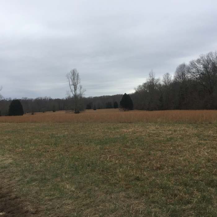 Near Old Stone Fort State Archaeological Park Nature Trail