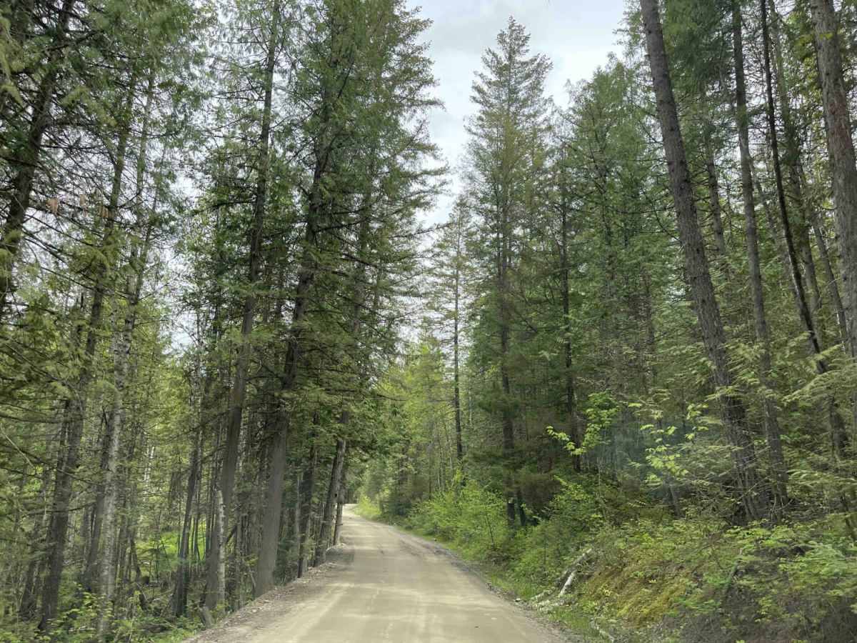 Hidden Lake Road photo 6