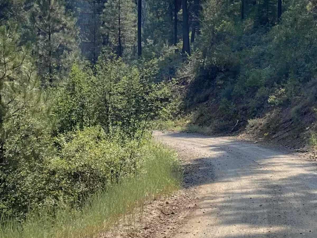 Pine Creek Road - 304 photo 3