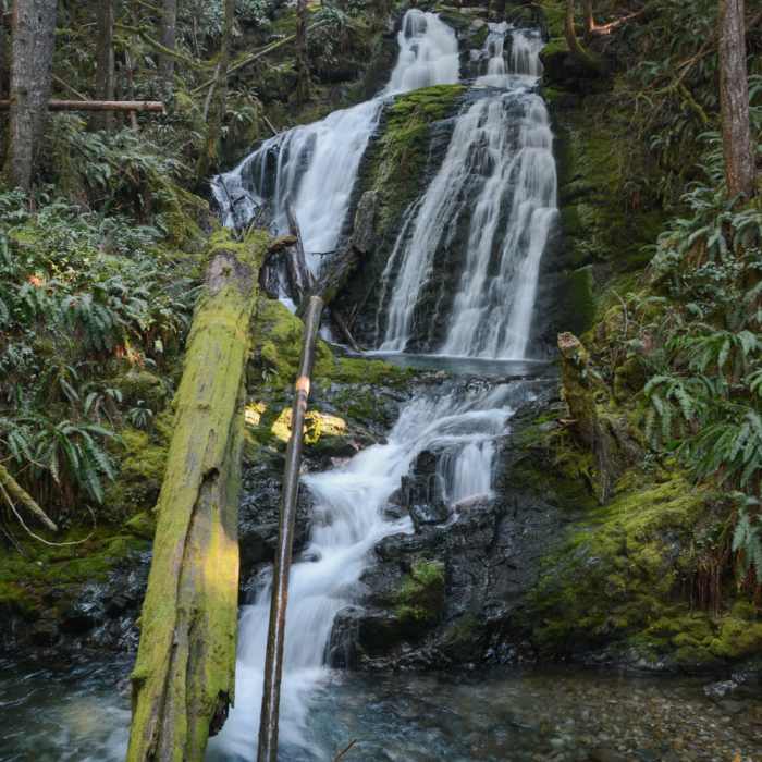 Near Siouxon Creek