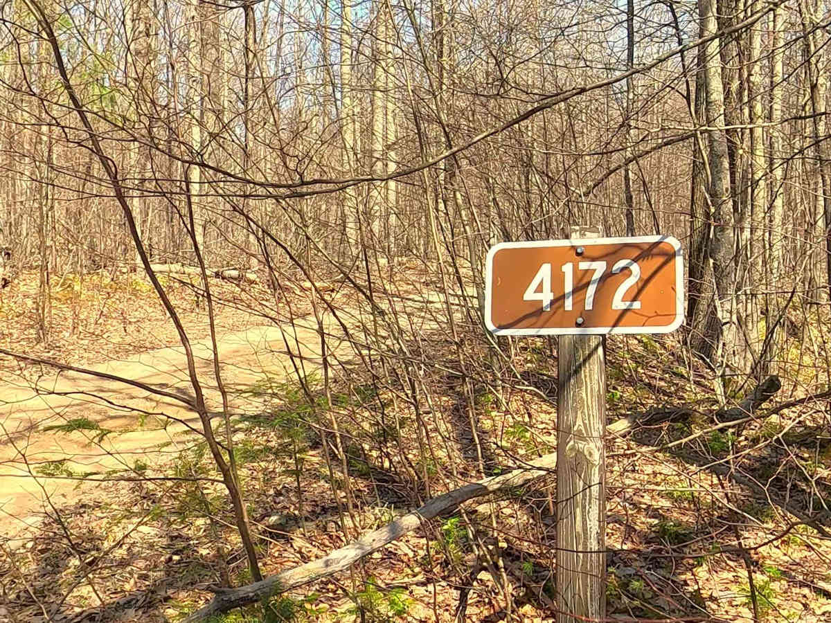 Hardwood - FS 4172 trail photo