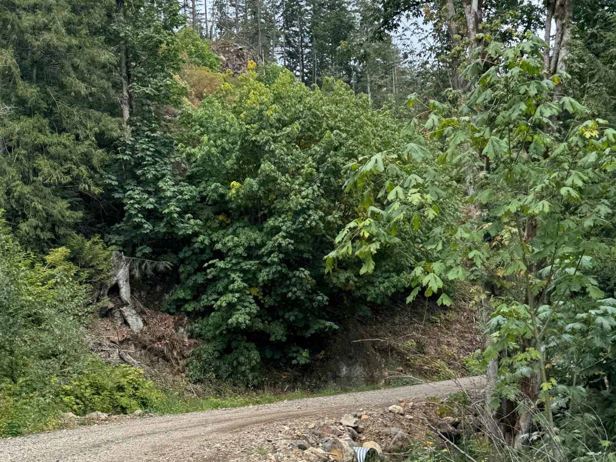 Francis Lake Back Entry photo 2