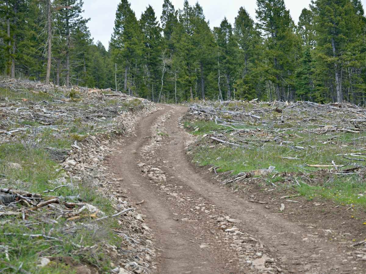 McKee Ridge - FS 10254 photo 6