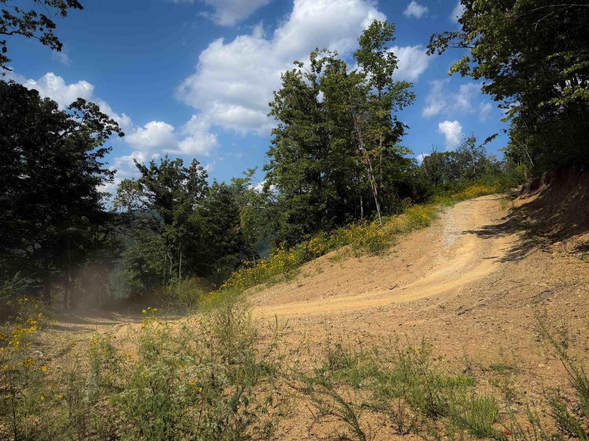Shack Creek Trail photo 6