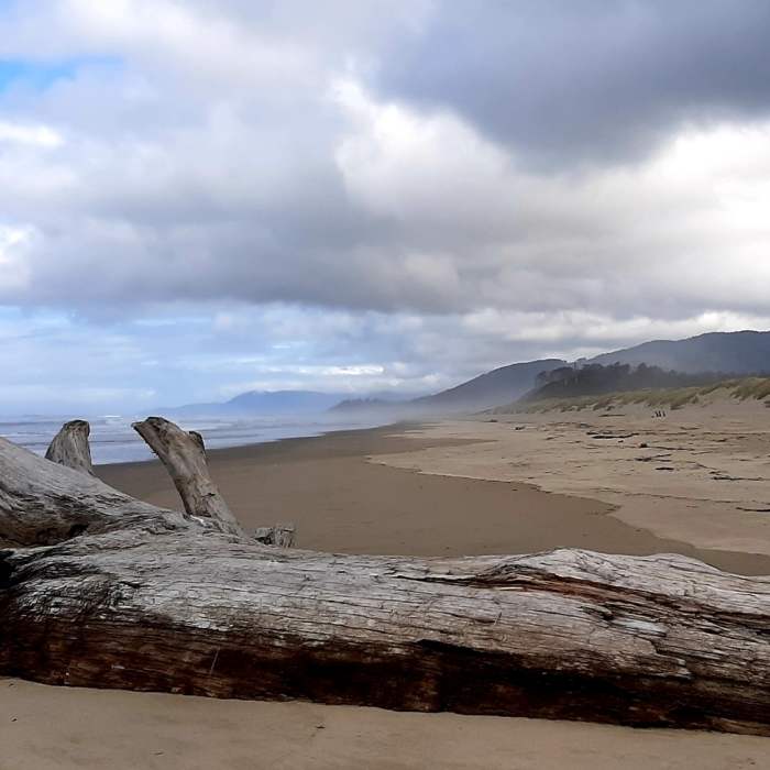 Near Bayocean Peninsula Loop Trail