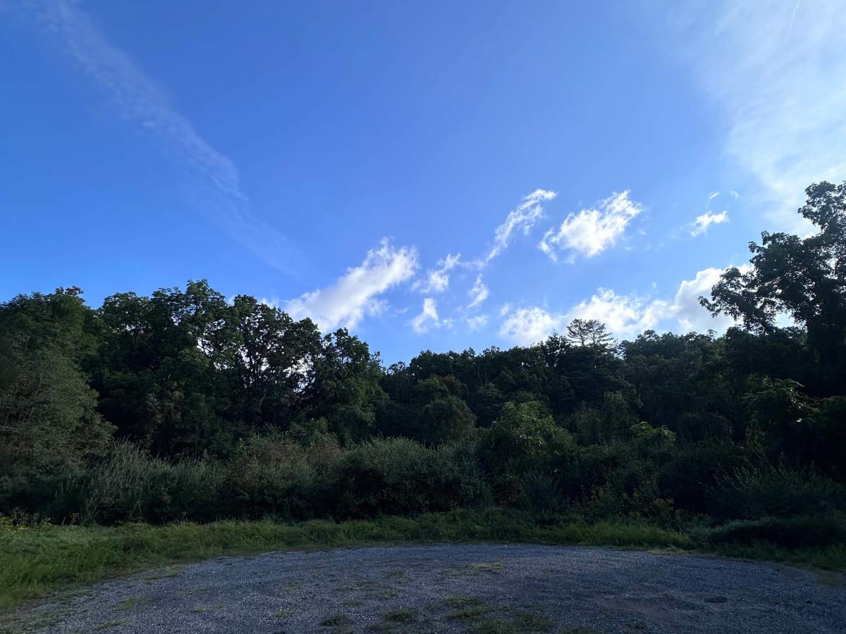 McClintic Bridge photo 5