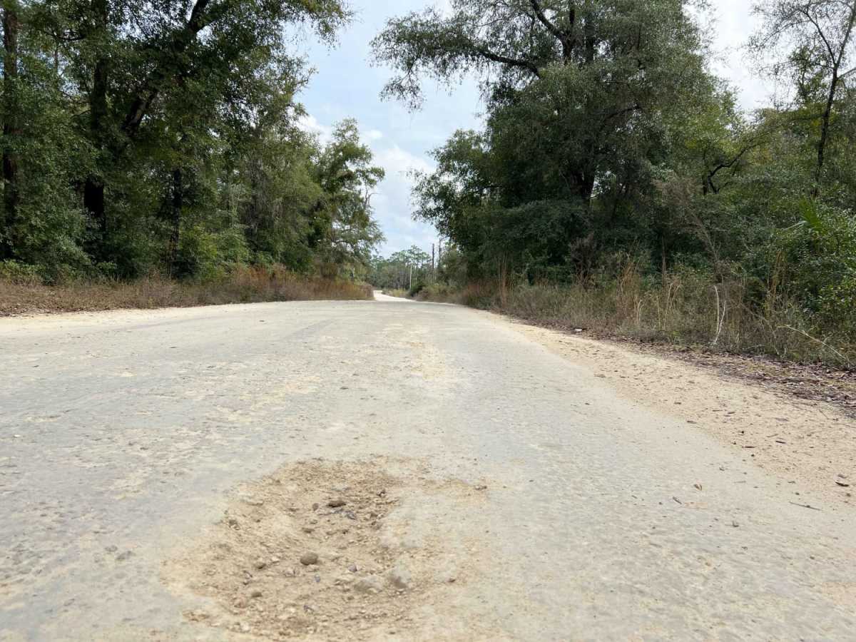 New River Road photo 4