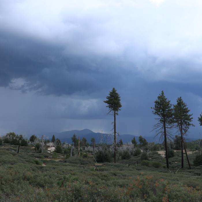 Near Hanna Flats Trail