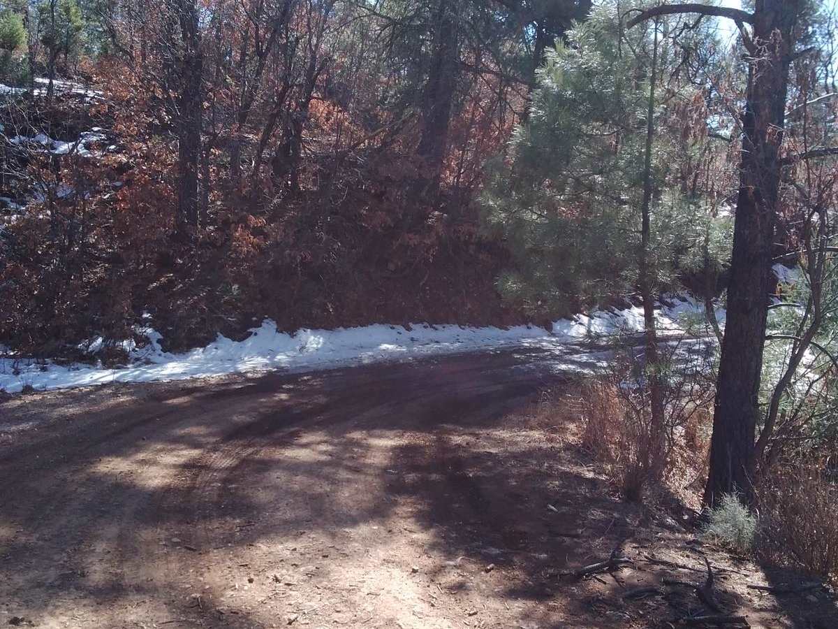 Westside Road photo 4
