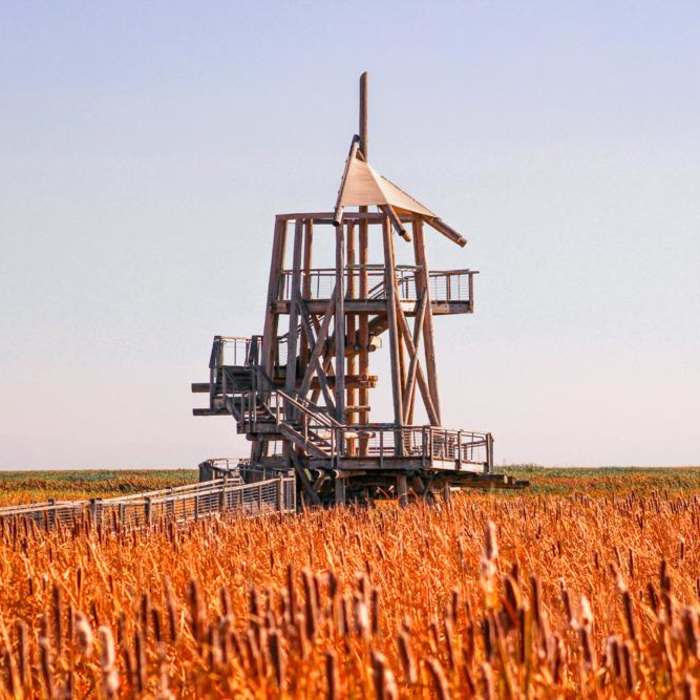 Near Great Salt Lake Shorelands Preserve Boardwalk