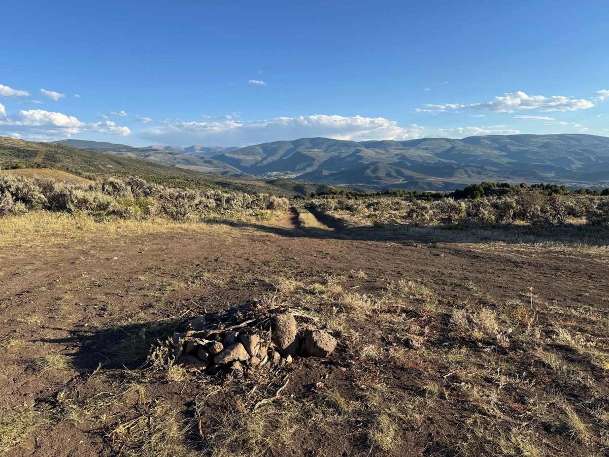 BLM 8410 photo 2