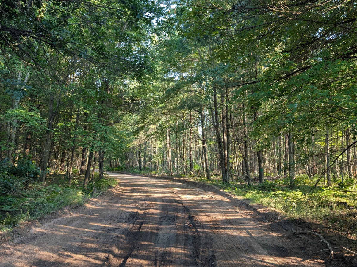 Michigan Road / Jose Road photo 5